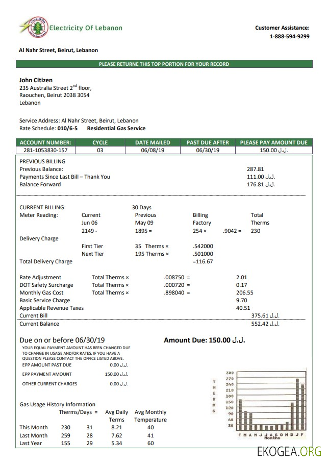 Lebanon Electricity of Lebanon utility bill template in Word and PDF format